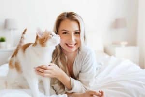 pets, morning, comfort, rest and people concept - happy young woman with cat in bed at home